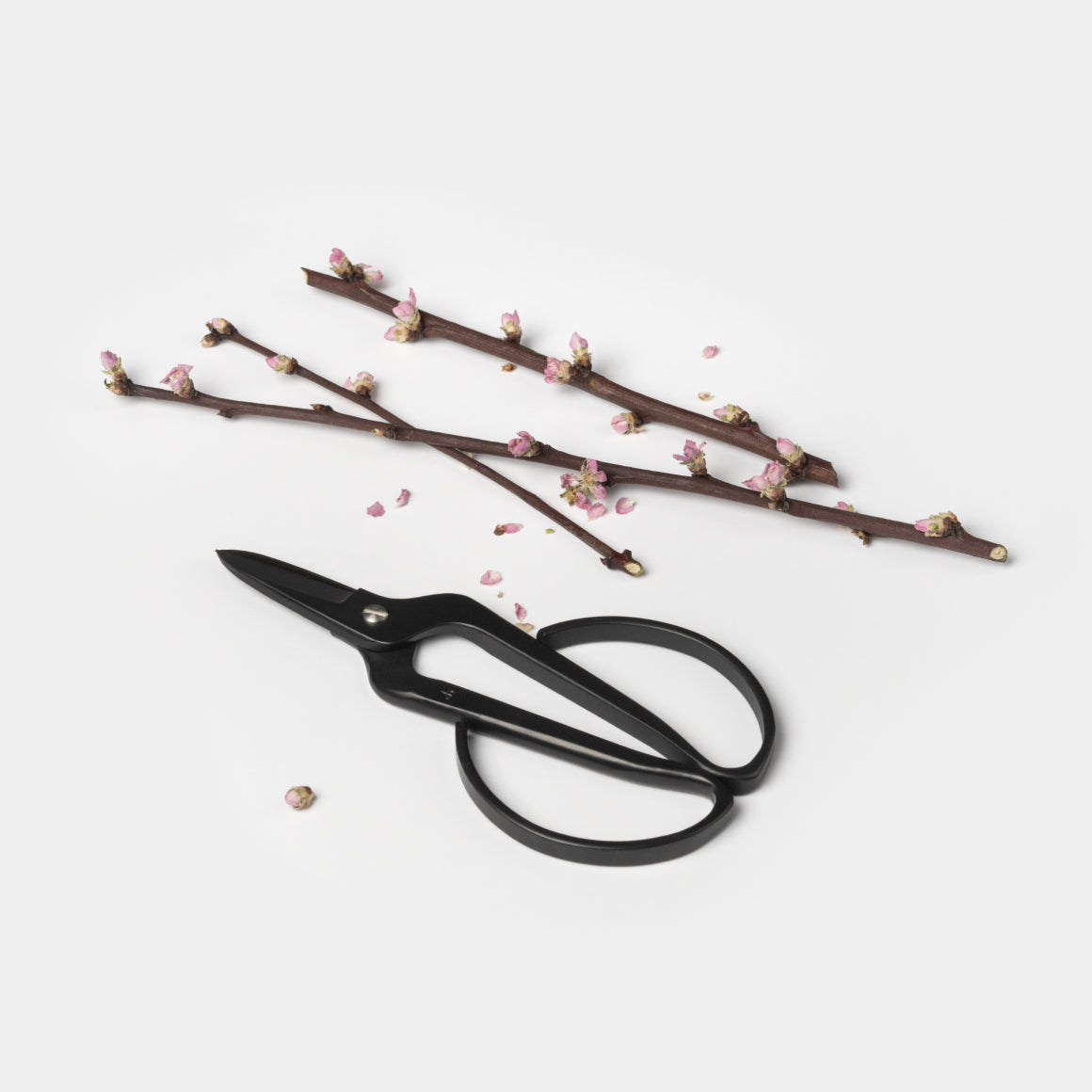 Kobayashi Gardening Scissors